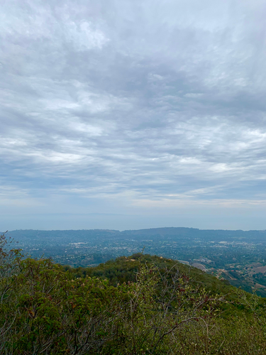 SB hike