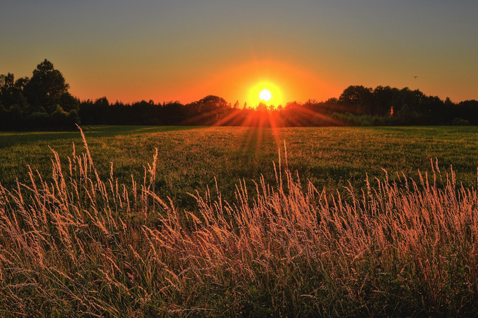 Sunset overlooking green field in the country by Jonathan Petersson