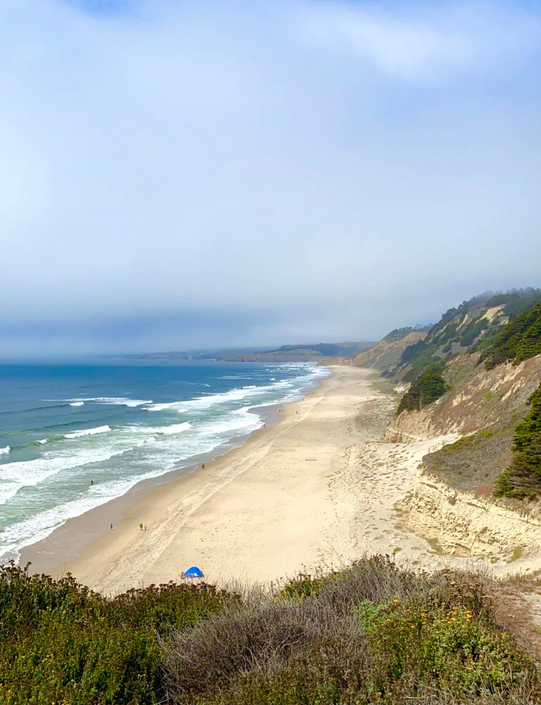 Top 5 Places to Visit near Sequim Washington