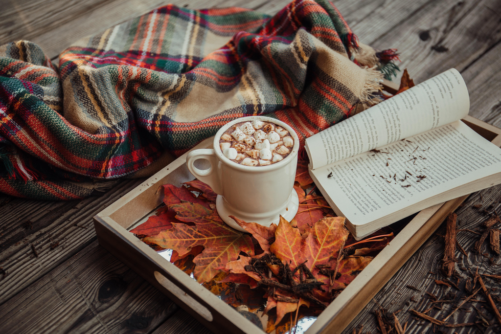 Mug on wooden desk. There is hot chocolate with marshmallows in the cup, which is placed in a small basket and on top of some leaves. There is a blanket to the left of the mug.