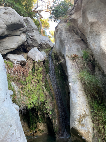 Santa Ynez Falls trail 3 by Audrey Choong