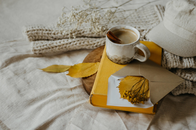 Coffee mug, book, yellow envelope, hat, leaves, blanket, and a plant on a bed.