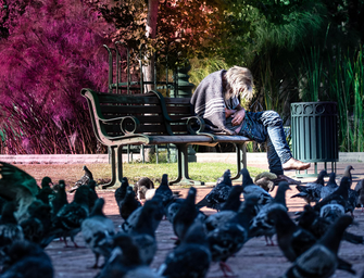 person on park bench surrounded by pigeons