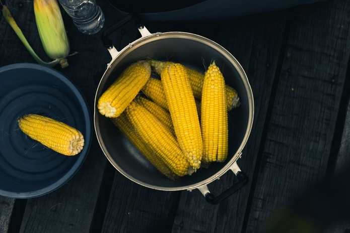 pot full of ears of corn on table