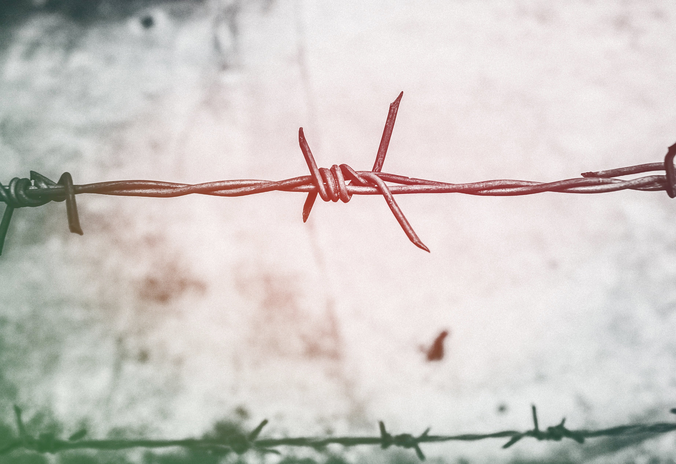 Shallow Focus Photography of Brown Barbed Wire