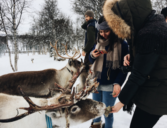 girls feeding reindeer