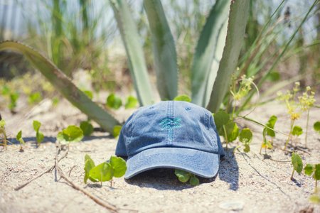palm tree dad cap