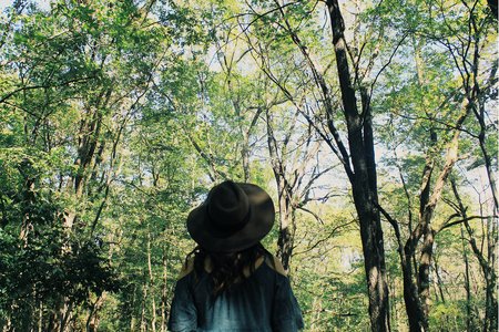 Anna Schultz-Girl Looking Up In Forest