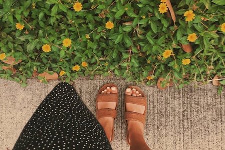 Sandals Sidewalk Flowers