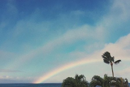 Sky Ocean Palm Trees Rainbow Nature Vacation