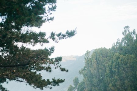 Molly Peach-Big Sur