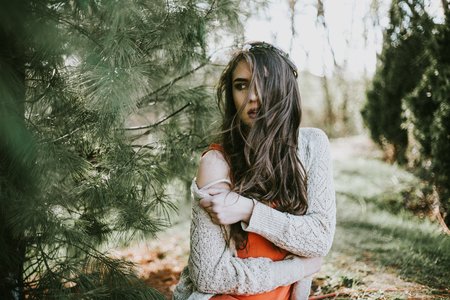 Boho Woods