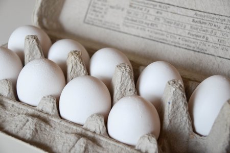 Eggs Egg Carton