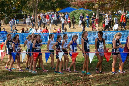 Sports Cross Country Girls In Line