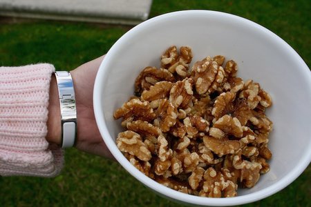 Walnut