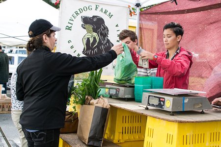 Farmers Market Purchasing Produce
