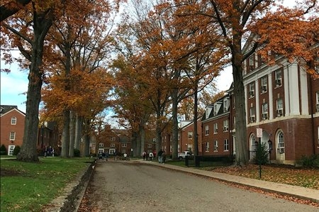 Ohio University Fall East Green
