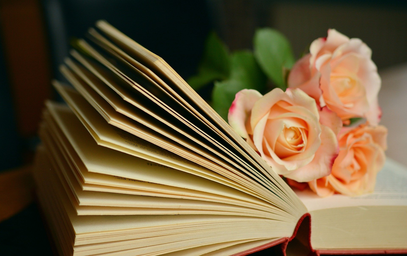 open book with pink roses laid on top