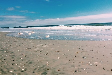 Ocean