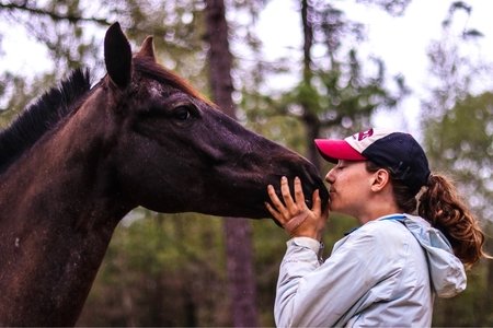 Katherine’s horse