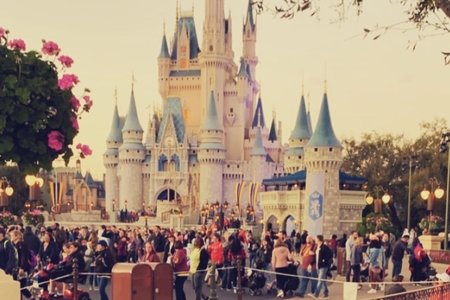 image of disney's magic kingdom park