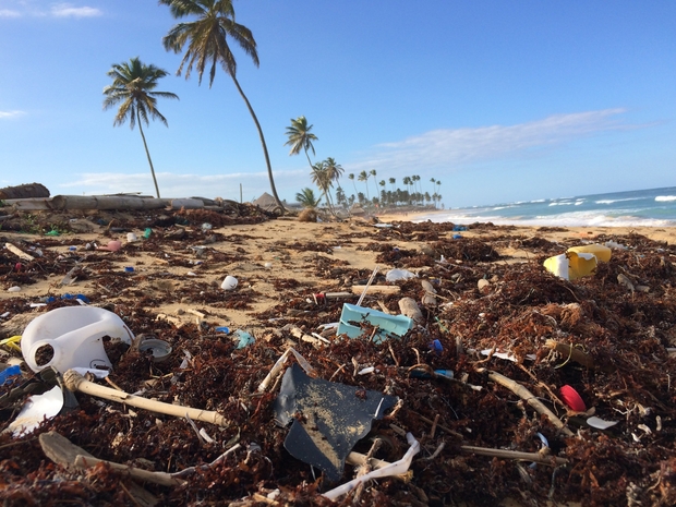 trash on beach
