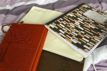 Notebooks of various sizes and colors