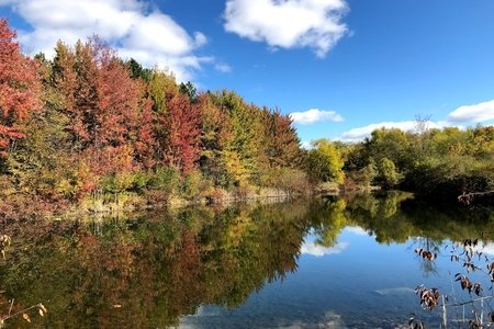 Autumn trees reflected in lake with blue sky