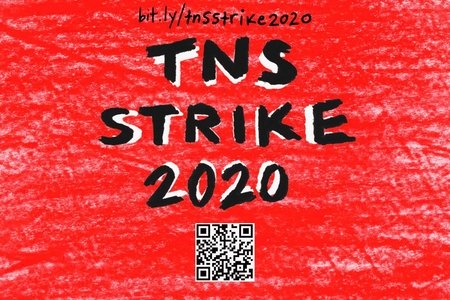 The new school strike image
