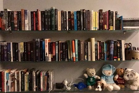 bookcase with books