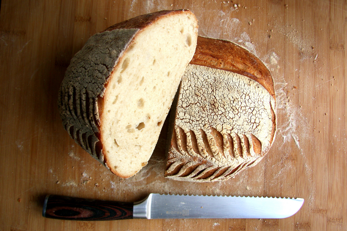 loaf of bread cut in half