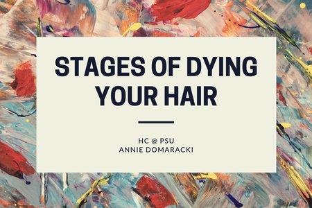 GRAPHIC FOR AN ARTICLE ABOUT DYING HAIR