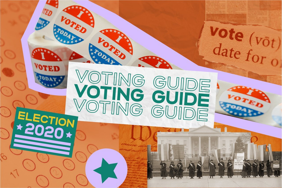 Voting Guide: Everything You Need to Know for the 2020 Elections in ...