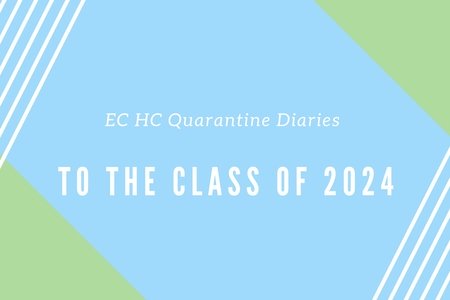 The hero image for this week's quarantine diaries!