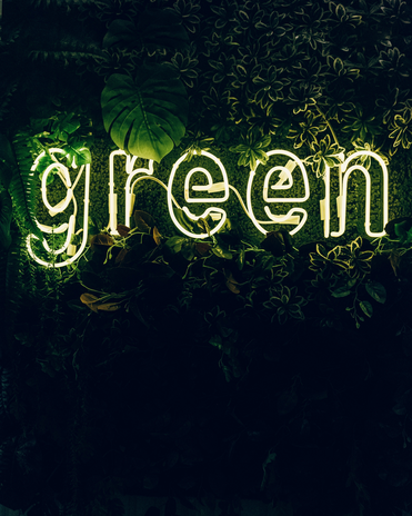 Green neon sign, green plants