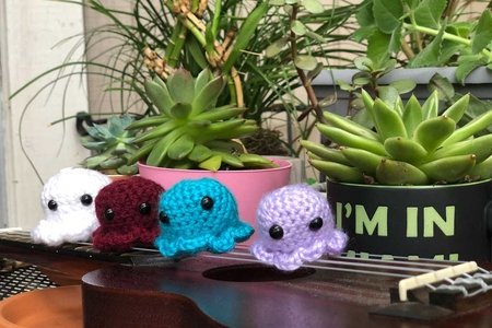 Octopi on Ukulele