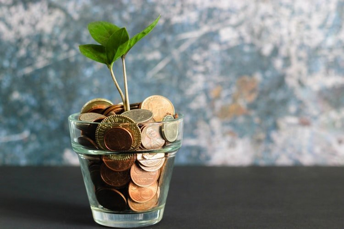 coins and plant in a jar by Michelle Henderson