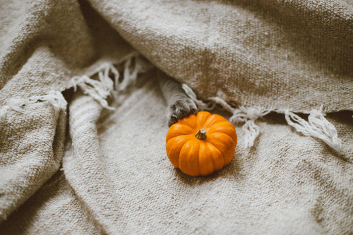 Halloween: Objectification or Liberation? 7 yulia chinato fWTwGRXQzI8 unsplash