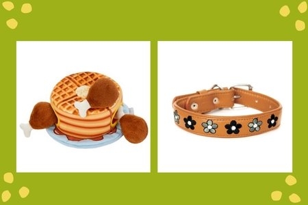 dog-treats-toys
