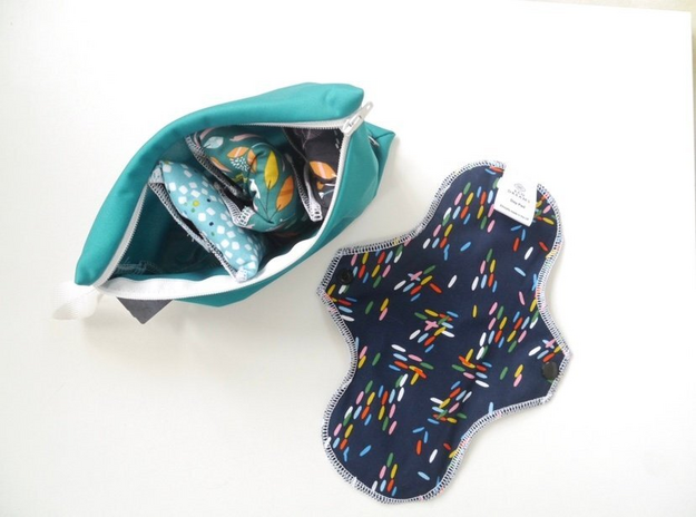 Image is of reusable pads and a case