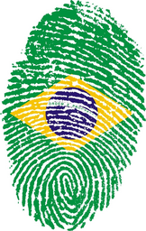 fingerprint of Brazilian flag