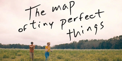 movie poster of The Map of Tiny Perfect things