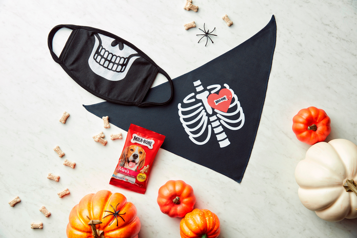 Milk-Bone Halloween Mask and Bandana Set