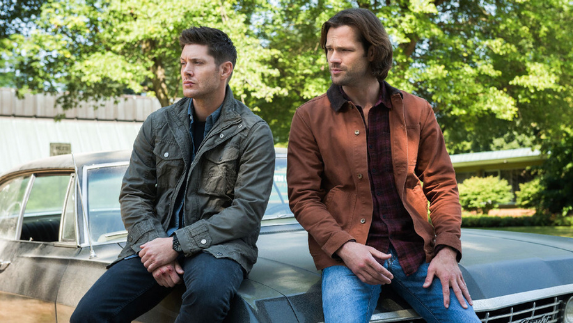 Sam and Dean from the Supernatural series