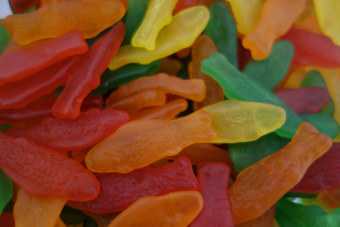 Swedish fish candy