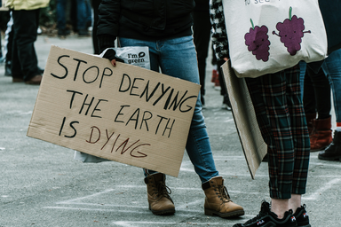 Sign reading \"stop the earth from dying\" during a climate protest