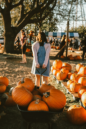 girl pulling pumpkins