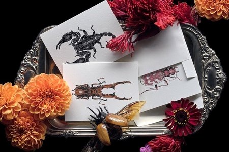 magic cards surrounded by flowers and bug