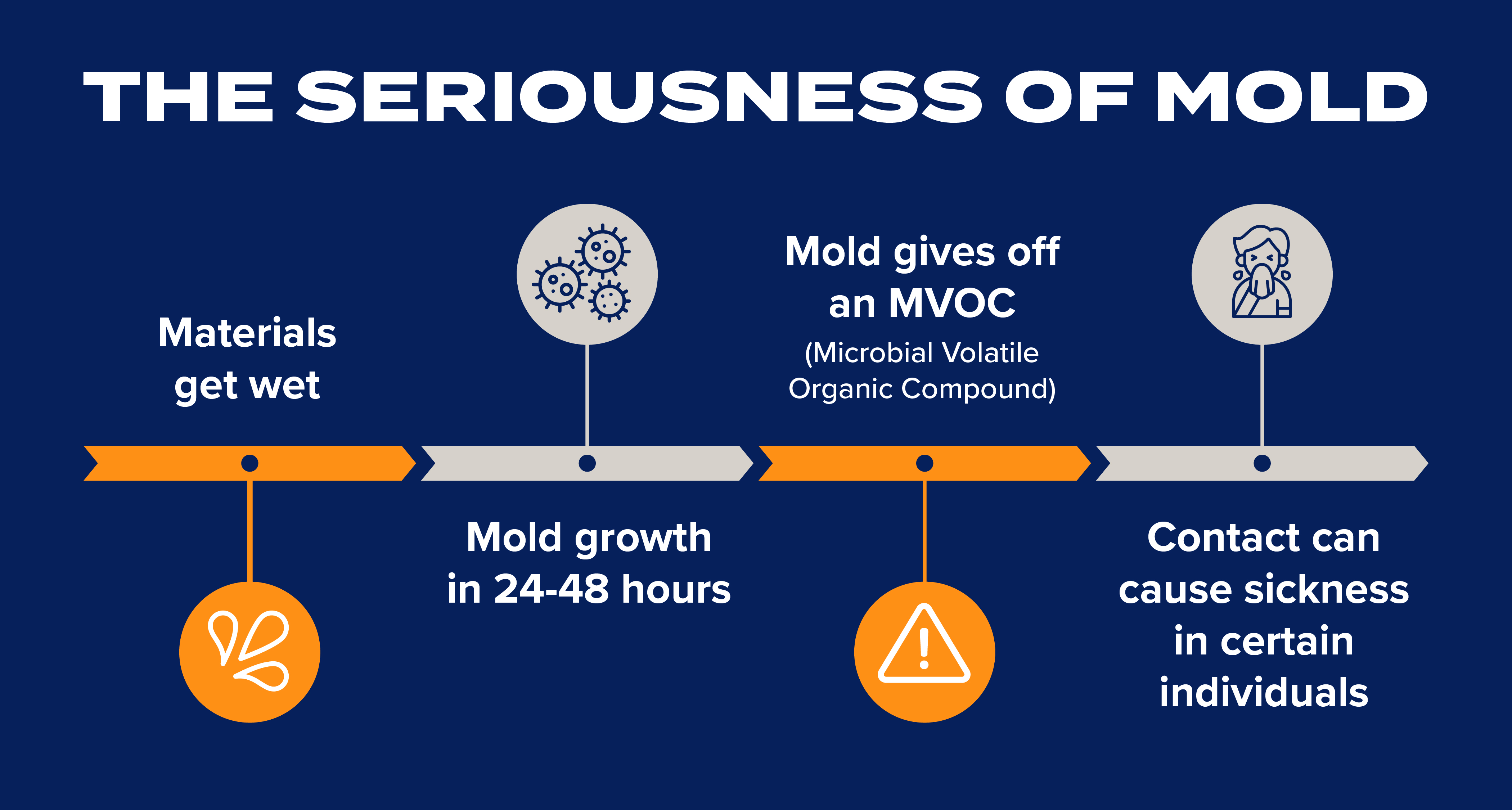 The Seriousness of Mold graphic