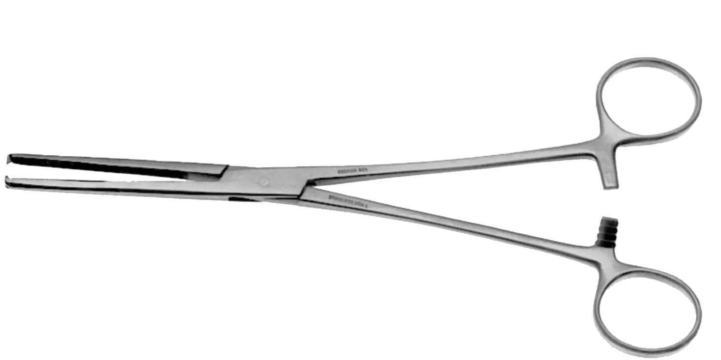 19-4056
